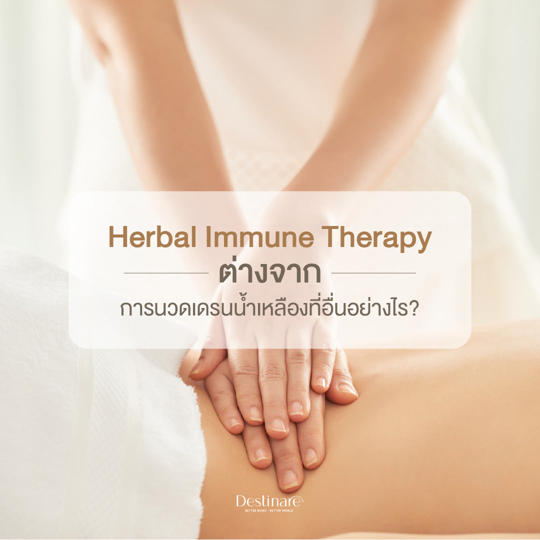 นวด Herbal Immune Therapy ต่างจาก การนวดเดรนน้ำเหลืองที่อื่นอย่างไร
