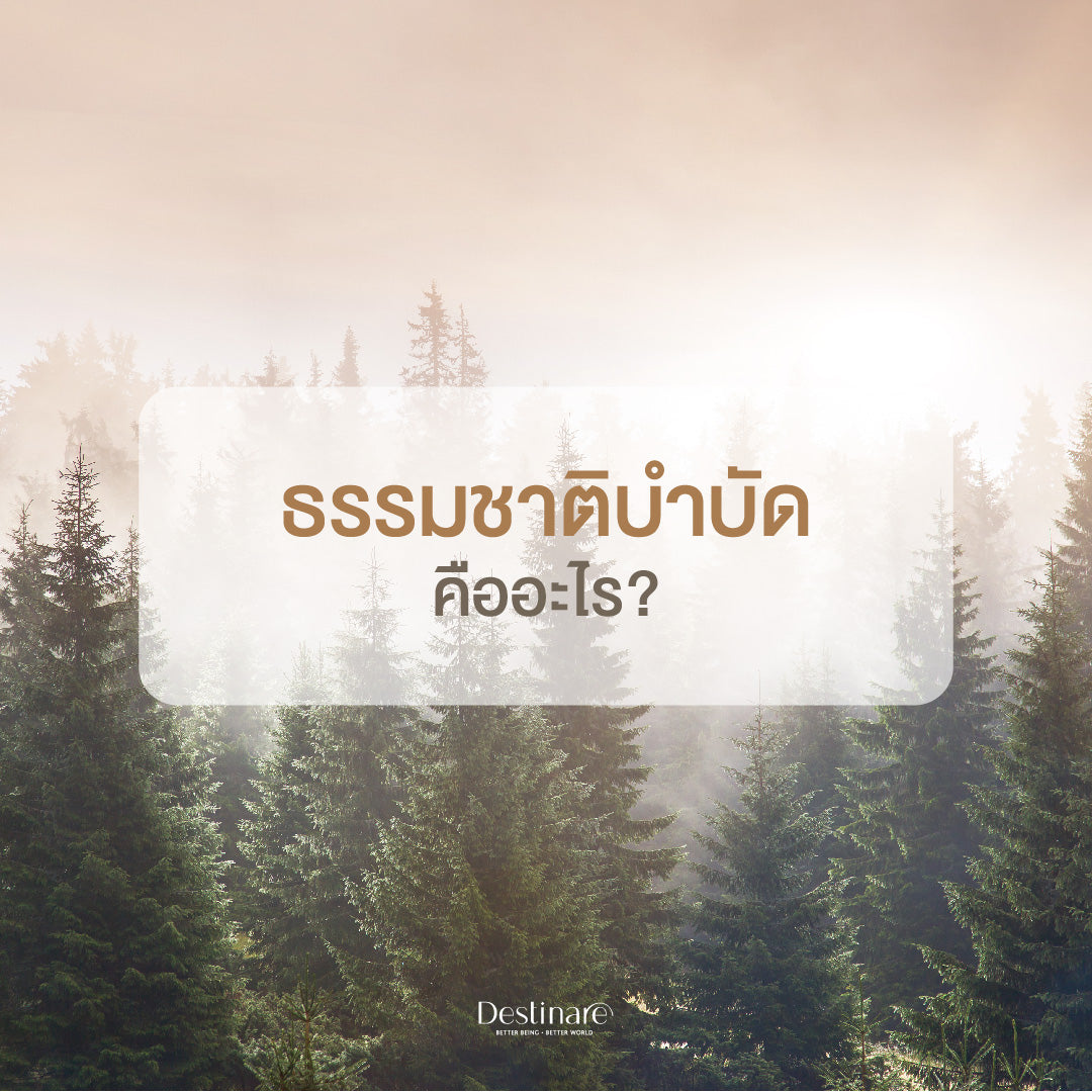 ธรรมชาติบำบัด คืออะไร
