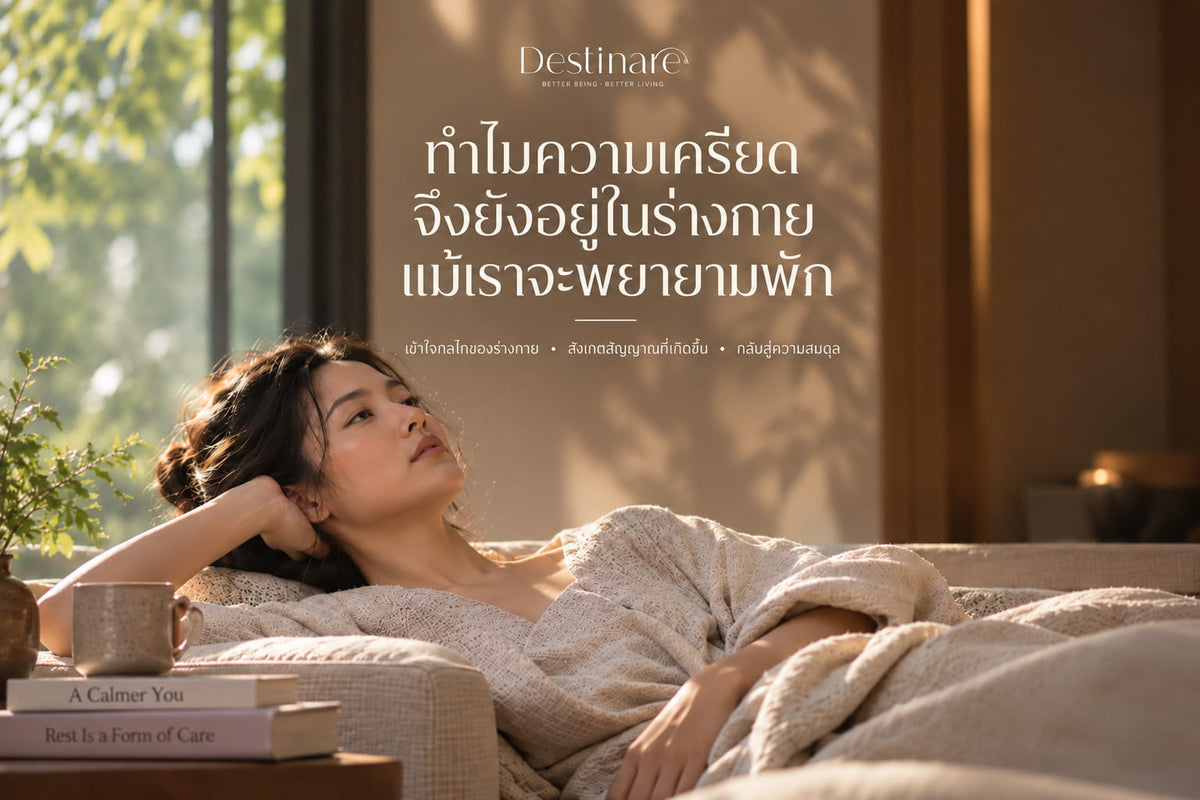 ผู้หญิงนอนพักบนโซฟาในบรรยากาศอบอุ่น สื่อถึงการผ่อนคลายร่างกายและการฟื้นตัวจากความเครียด