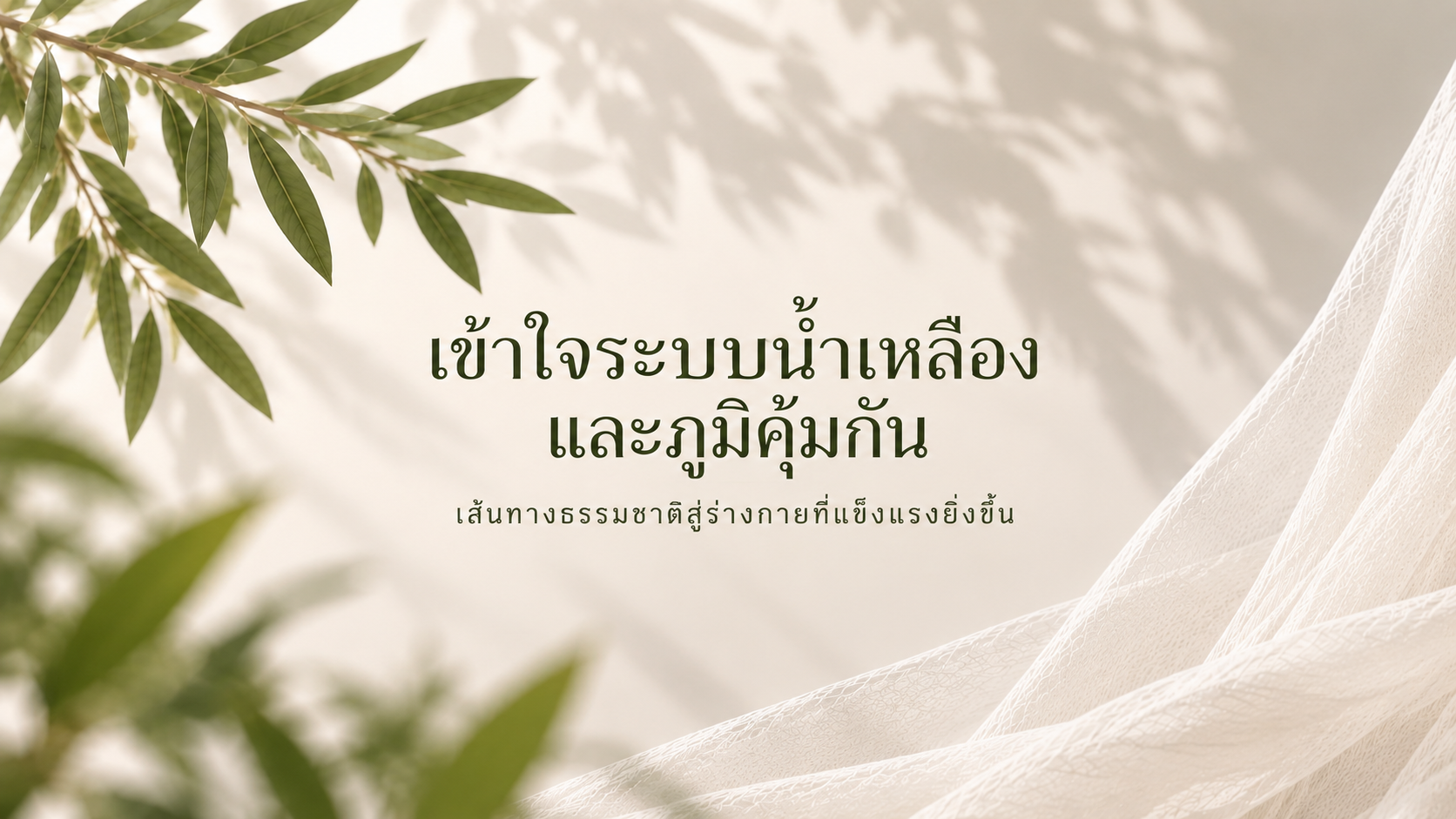 เข้าใจระบบน้ำเหลืองและภูมิคุ้มกัน เส้นทางธรรมชาติสู่ร่างกายที่แข็งแรงยิ่งขึ้น